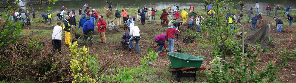 Restoring Habitats: Essential Steps for Conservation