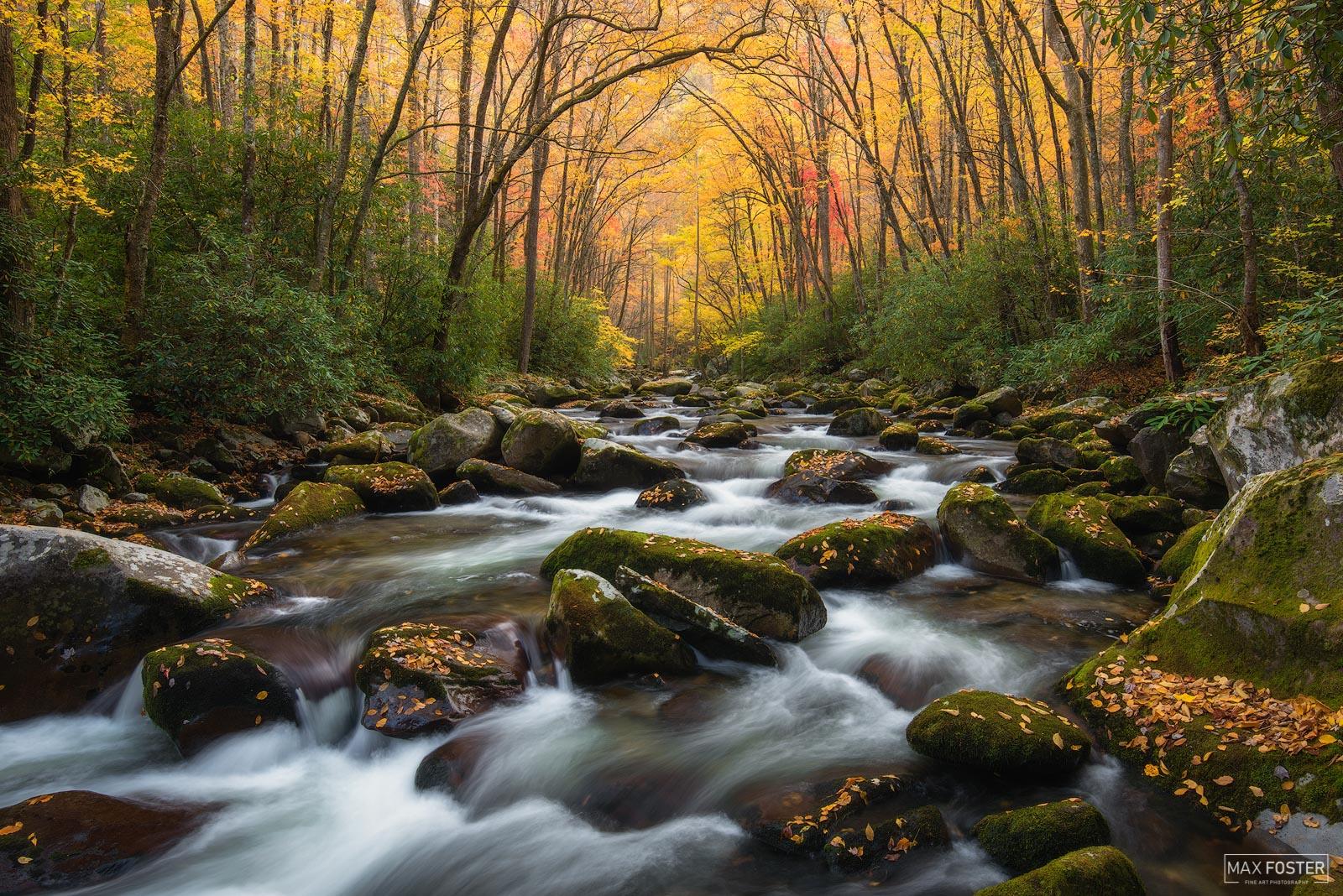 Understanding Your Equipment for Stunning Nature Shots