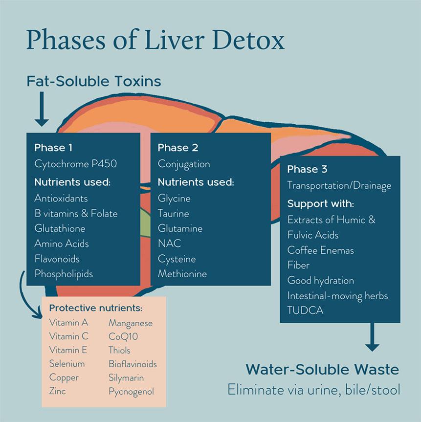 Nutrition Strategies to Boost Your Bodys Natural Detoxification Process