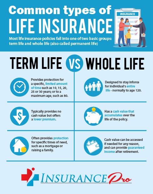 Key Differences Between Term and Whole Life Policies