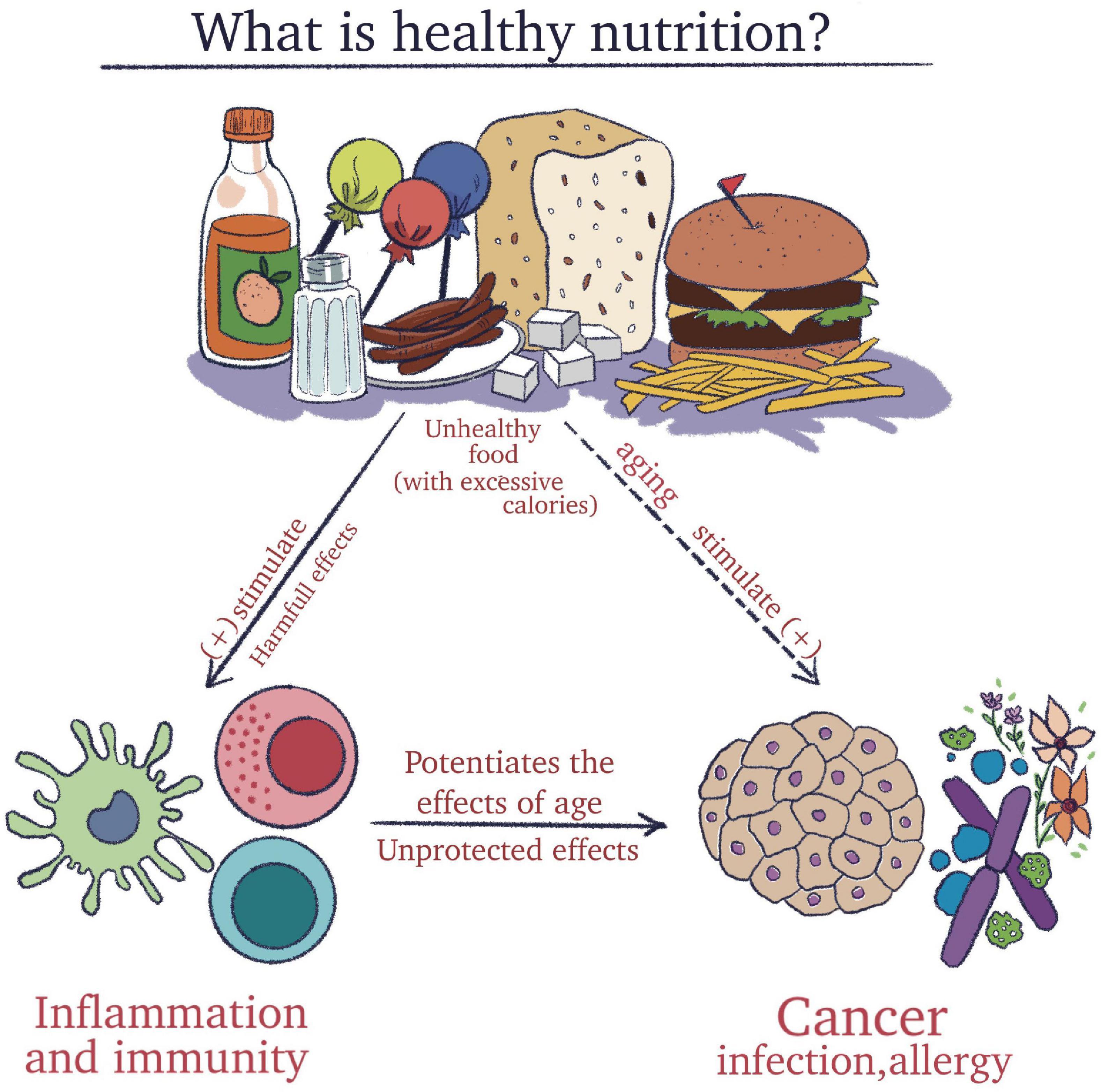 Nutrition for Immunity: Foods That Strengthen Your Defenses