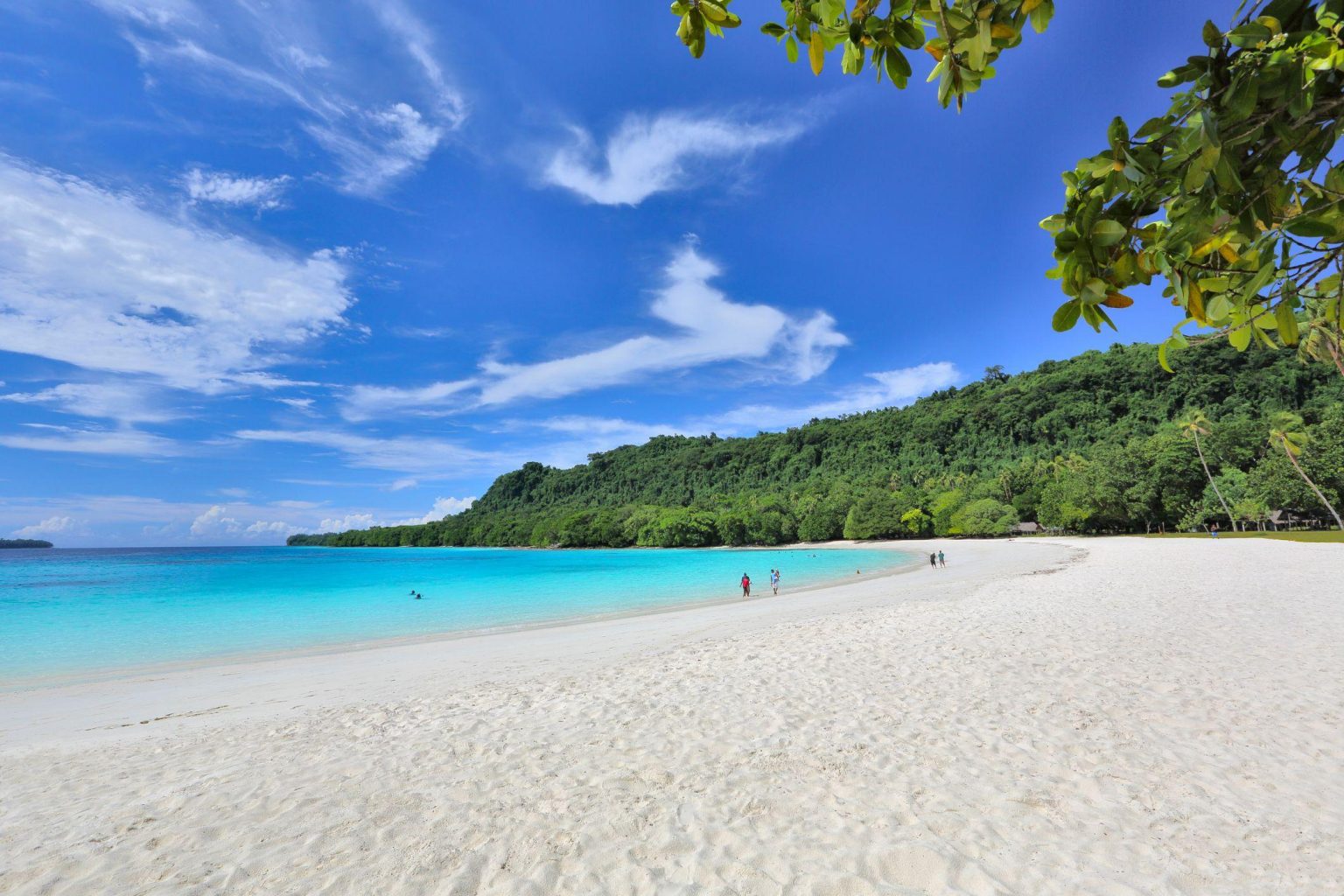 Top Beaches to Explore This Year: A Simple Guide Top Beaches to Explore This Year: A Simple Guide