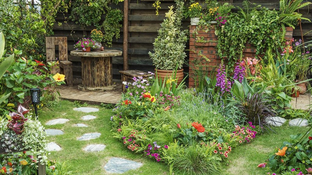 Creating a Wildlife-Friendly Backyard Habitat: A Step-by-Step Guide Creating a Wildlife-Friendly Backyard Habitat: A Step-by-Step Guide