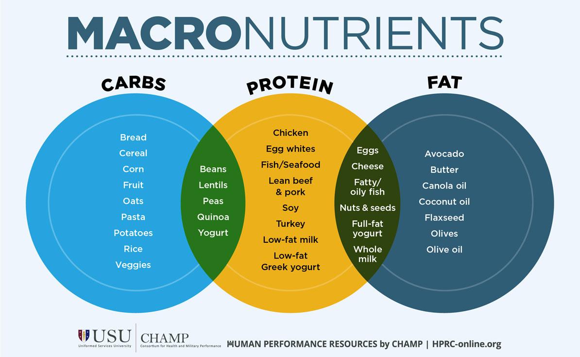 Understanding Macronutrients and Their Role in Your Health