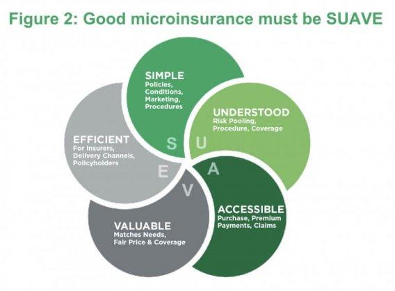 Key Features of Microinsurance Products and Their Benefits