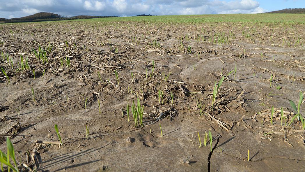 The Artistry of Erosion: How Wind and Water Shape Landscapes