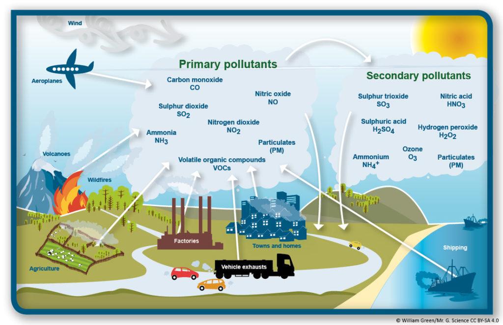 The Hidden Impact of Pollutants on Ecosystems