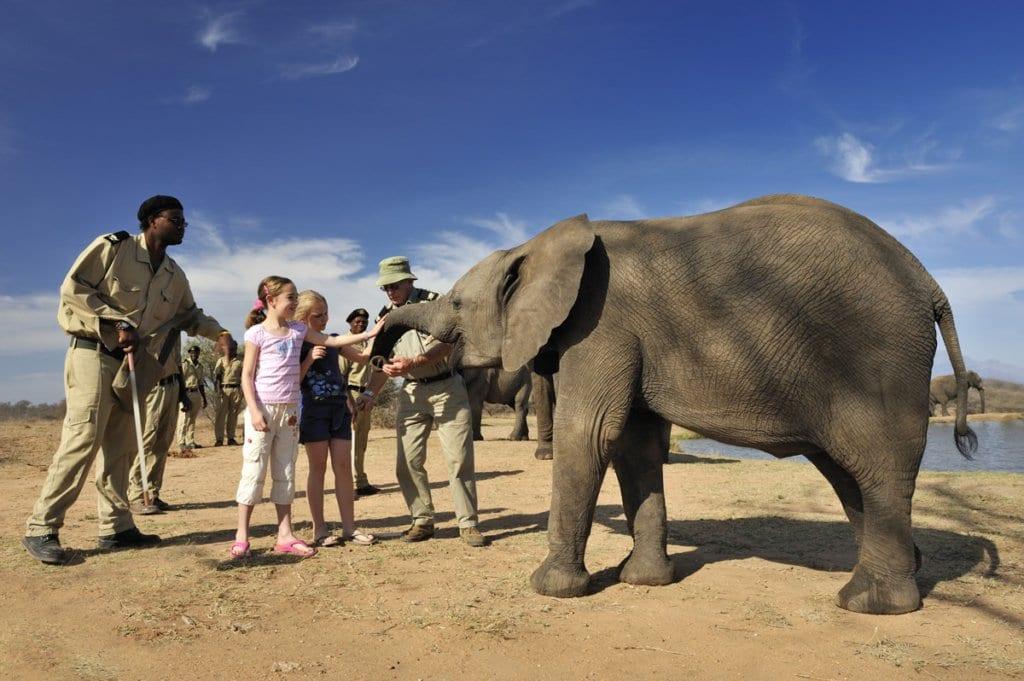 Unique Wildlife Encounters in Remote Locations