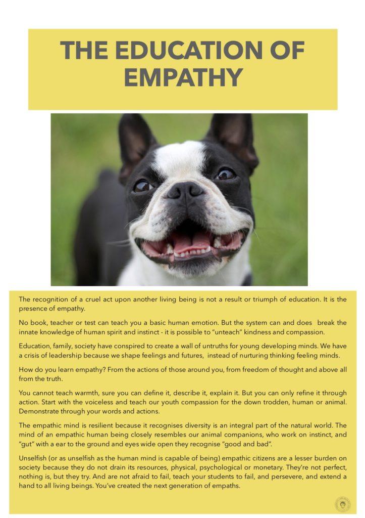 Building a Strong Foundation: The Importance of Empathy in Pet Care