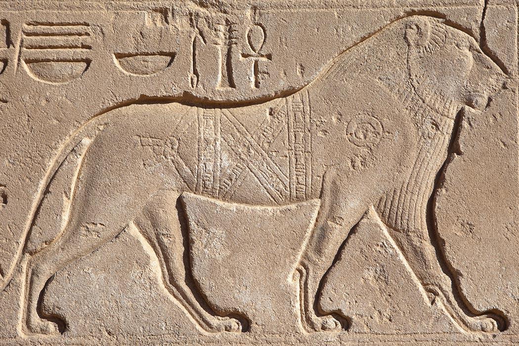 The Symbolism of Animals in Ancient Civilizations