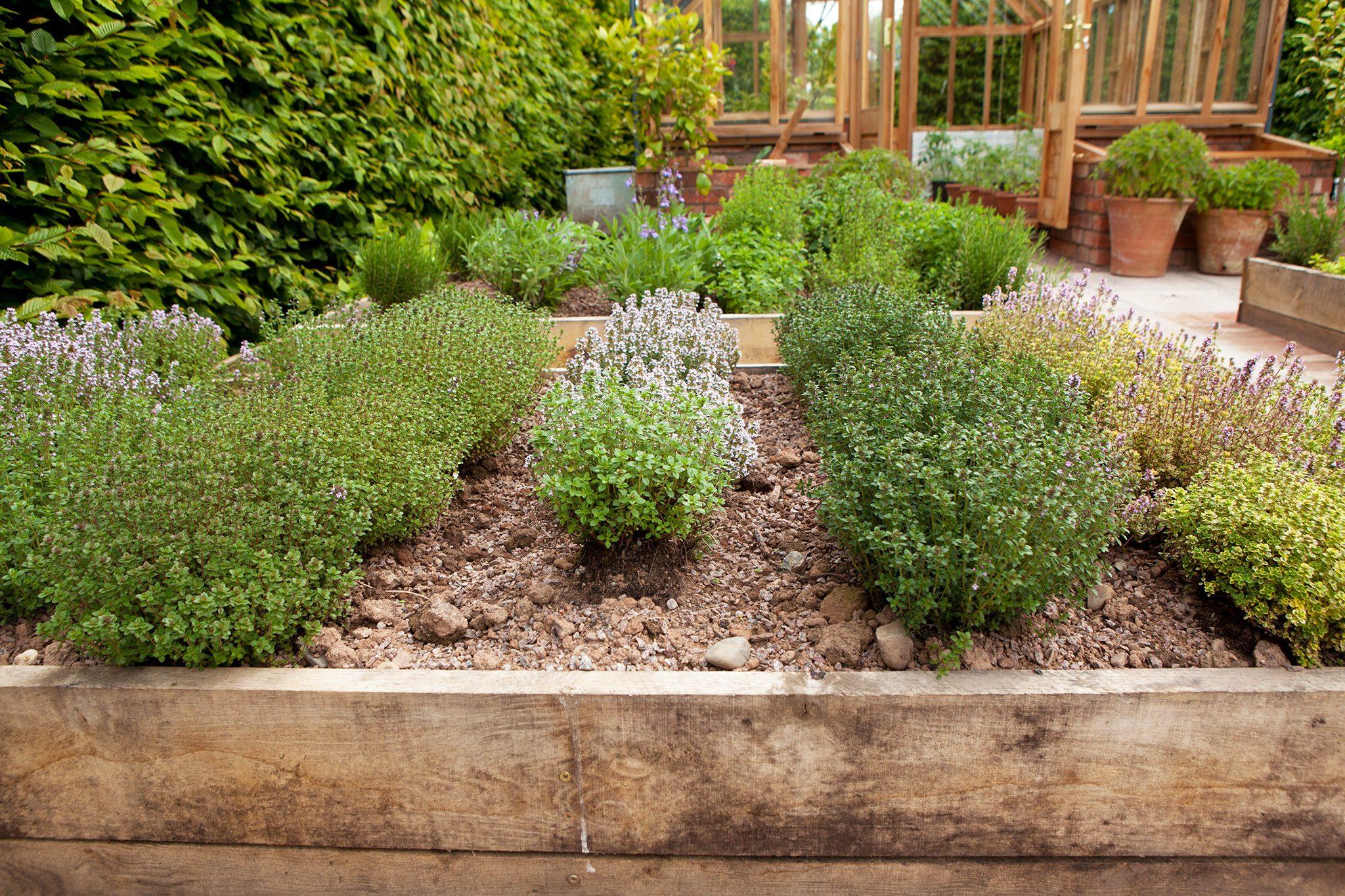 Choosing the Right Location and Containers for Your Herb Garden