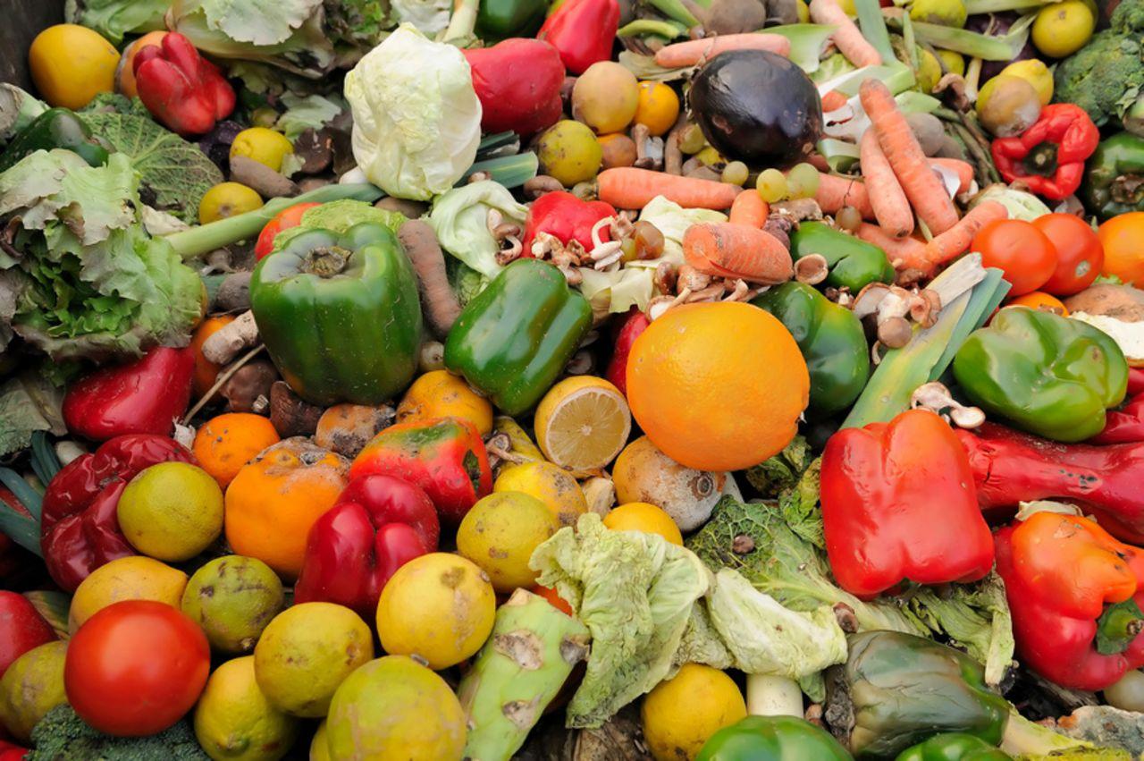 Understanding the Impact of Food Waste and Its Consequences