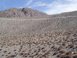 Discovering the Unique Ecosystems of Arid Landscapes