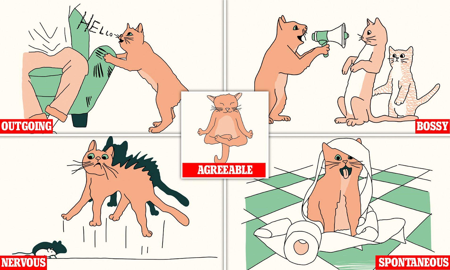 The Fascinating World of Cat Personalities