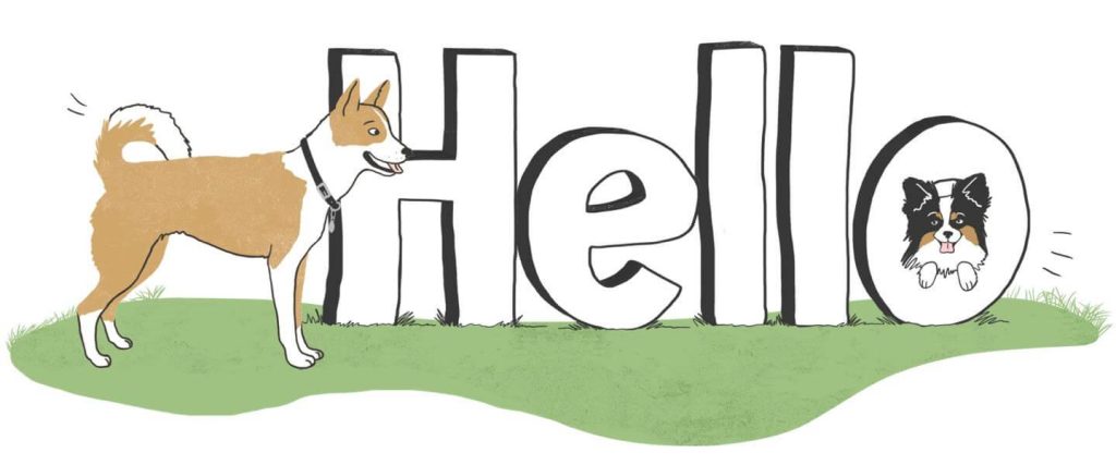 Welcoming a New Pet: A Guide to a Smooth Introduction Welcoming a New Pet: A Guide to a Smooth Introduction