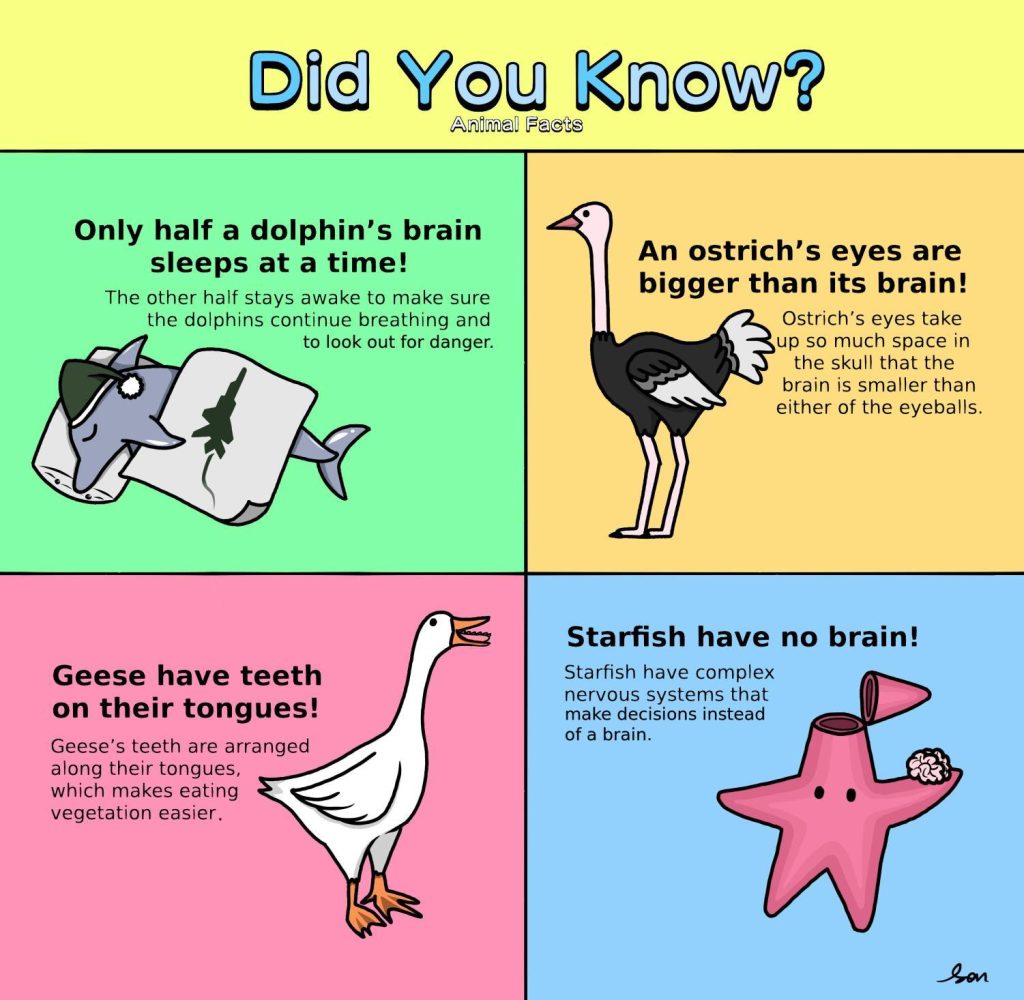 Discover 10 Fascinating Animal Facts You Never Knew