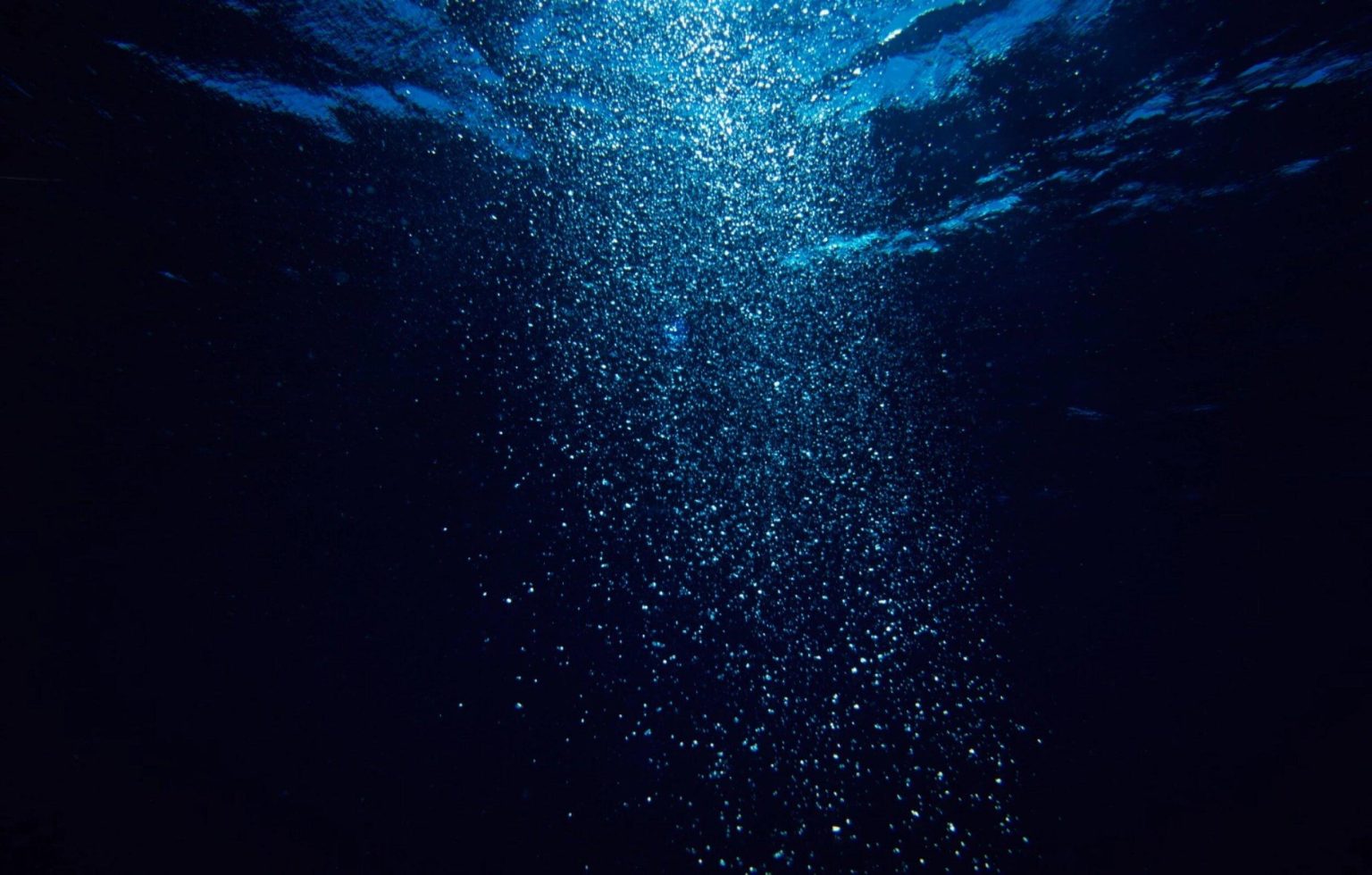 Unveiling the Secrets of the Abyss: A Deep Ocean Journey Unveiling the Secrets of the Abyss: A Deep Ocean Journey