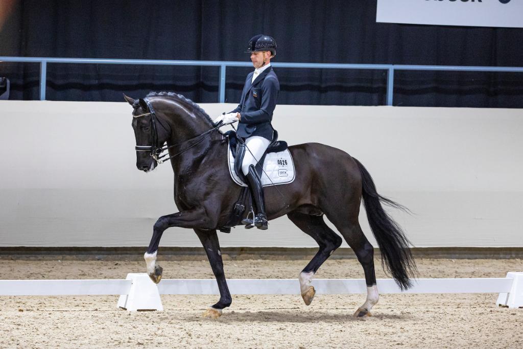 Understanding the Role of Conditioning in Your Horses Performance