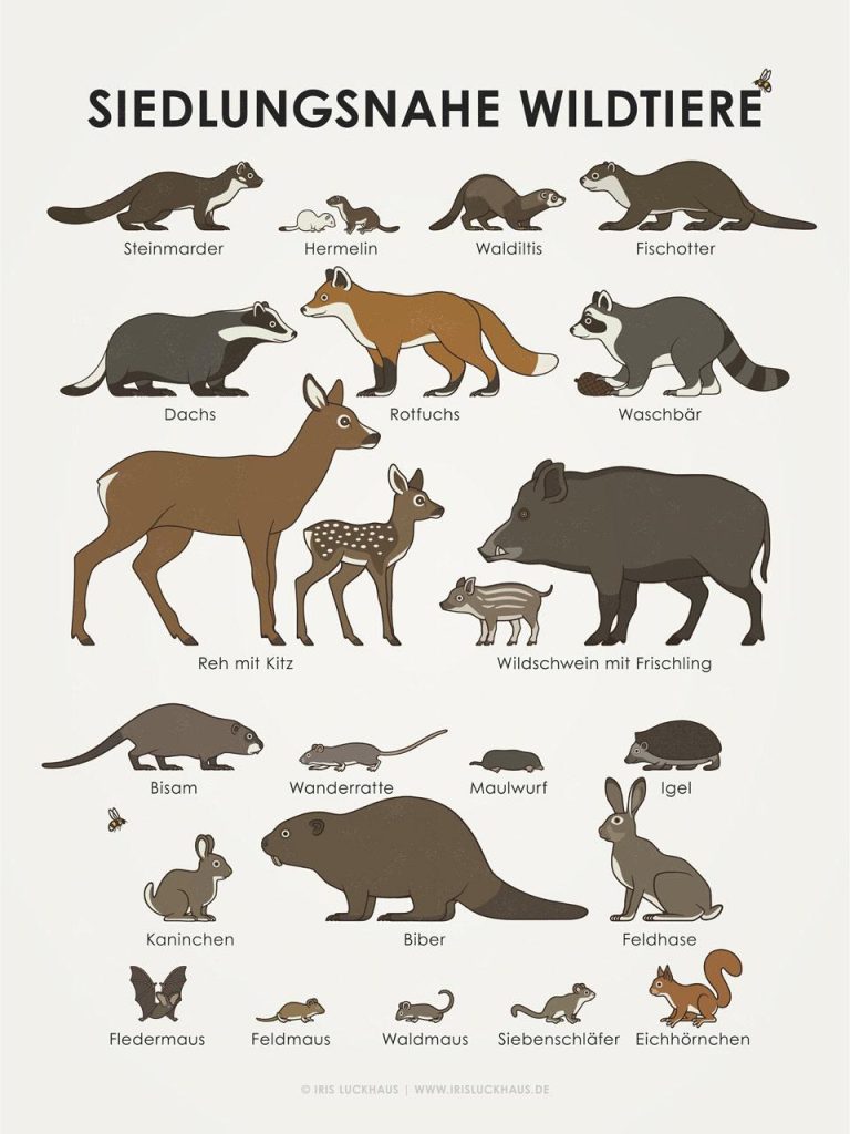 Urban Survivors: Animals Thriving in City Landscapes