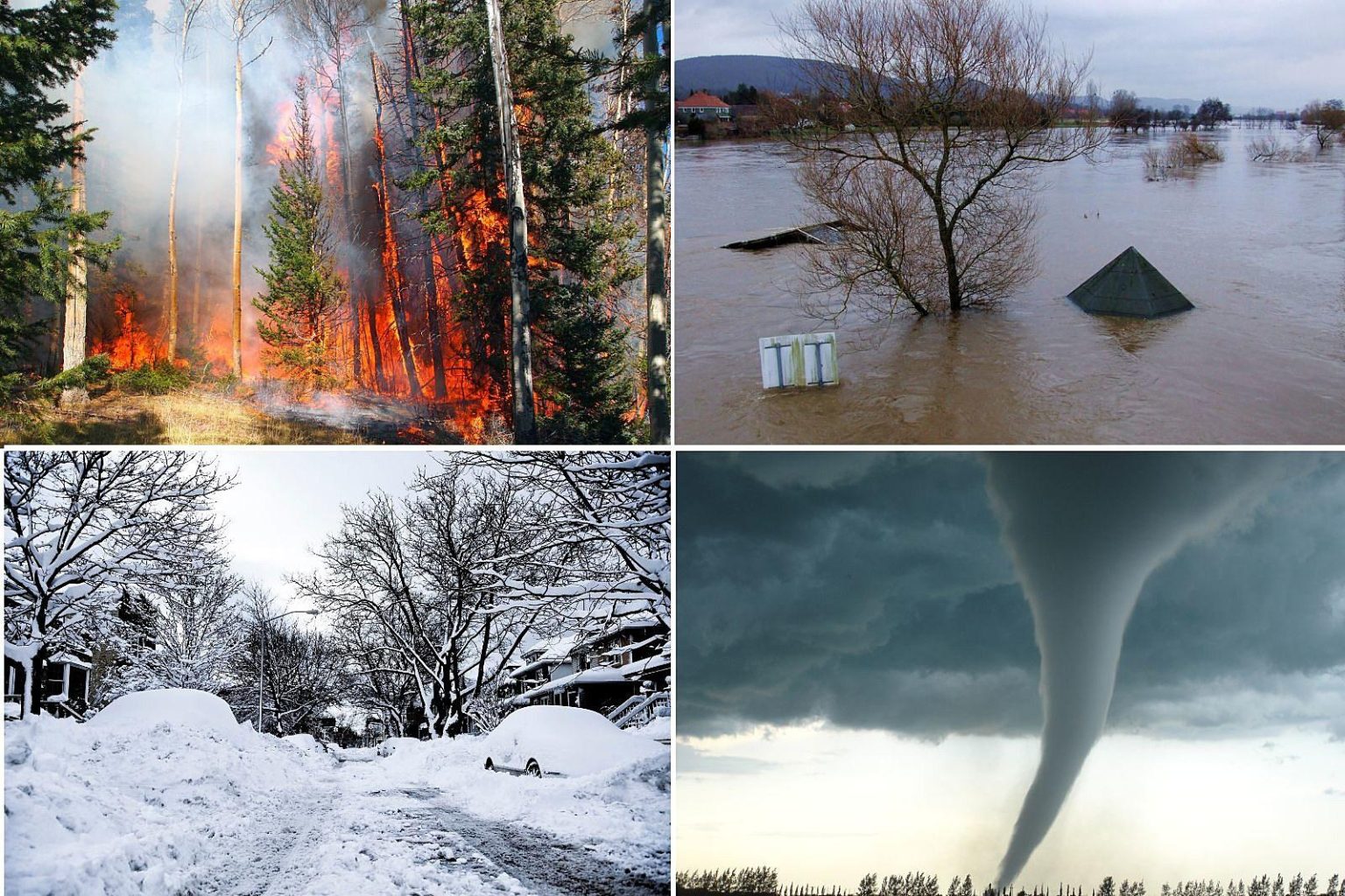 Earth’s Reshaping Forces: The Impact of Natural Disasters