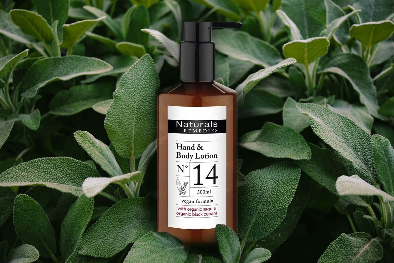 Exploring Effective Natural Remedies for Enhanced Health