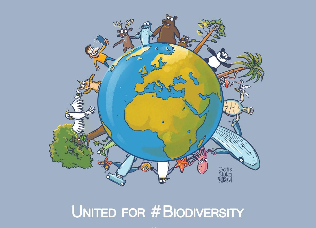 The Importance of Biodiversity in Ecosystem Health