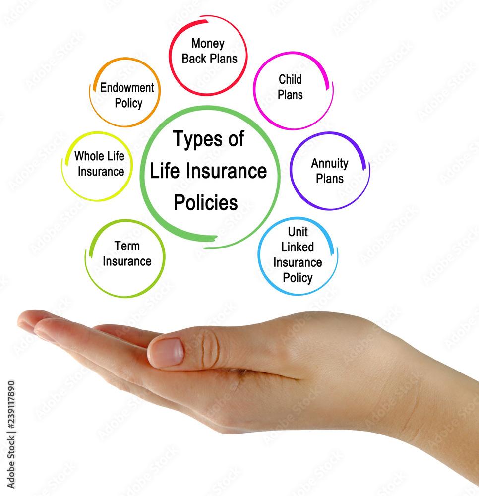 Key Factors to Consider When Evaluating Insurance Policies