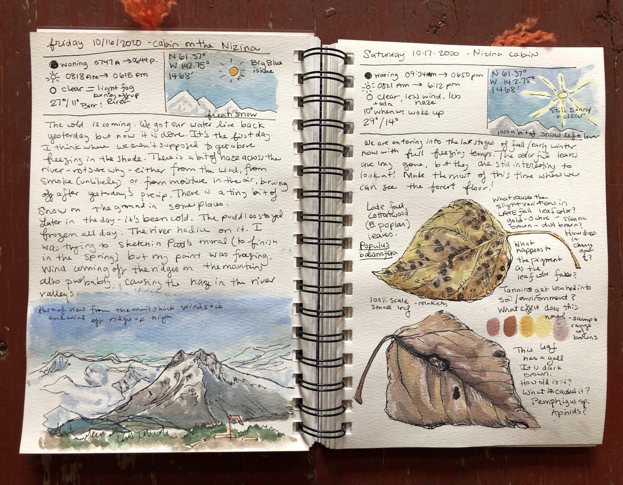 Getting Started with Your Nature Journal: Tools and Techniques