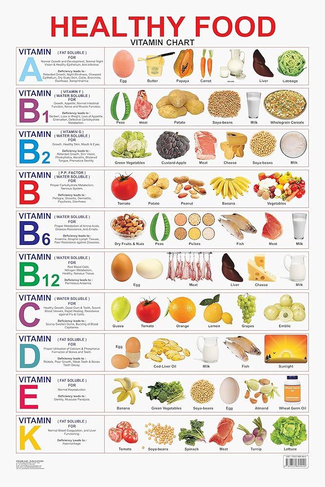 Understanding the Fundamental Functions of Vitamins and Minerals in the Body