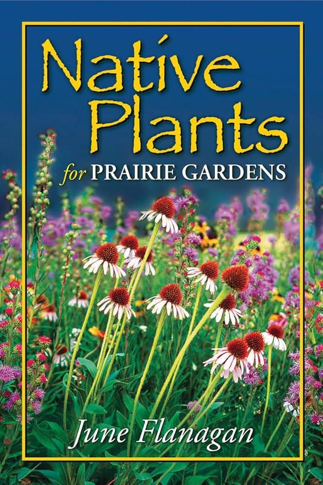 Understanding Native Plants and Their Importance