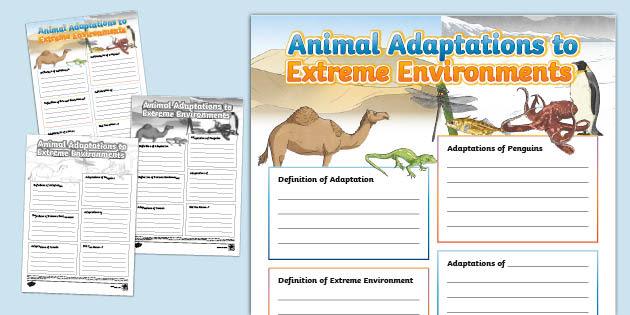 Adaptations to Extreme Environments and Their Survival Strategies