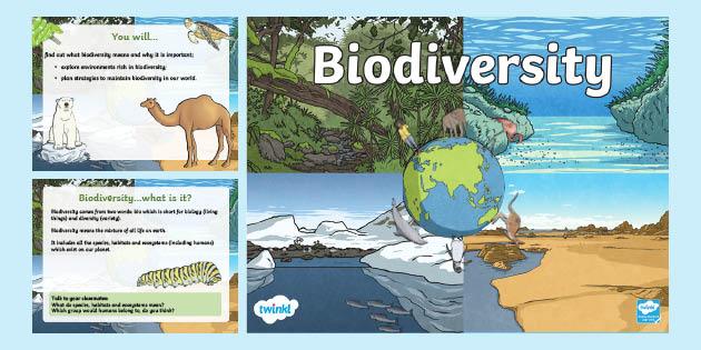 Understanding the Importance of Biodiversity in Habitat Conservation