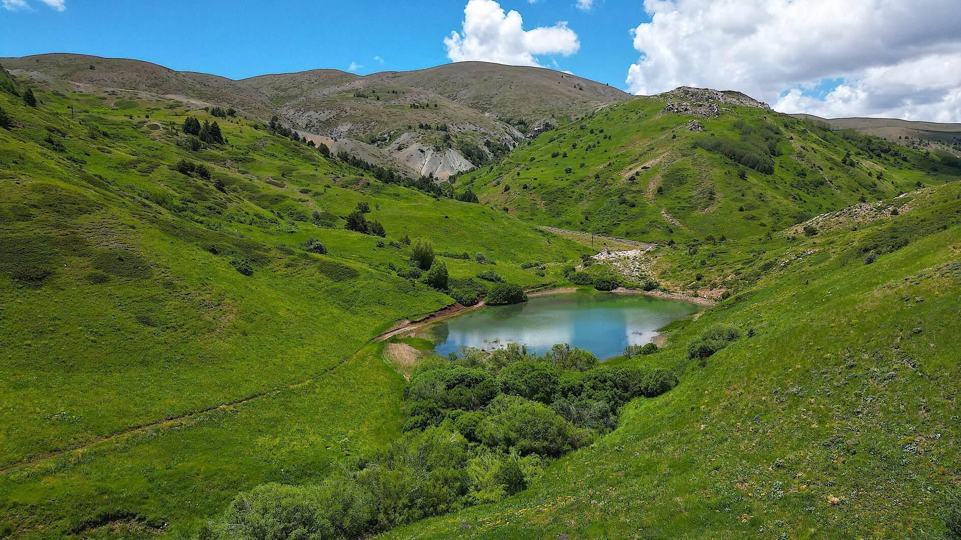 Exploring the Biodiversity Sanctuary of Wetlands