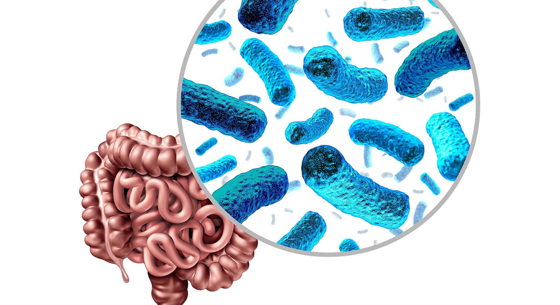 The Role of Gut Microbiota in Overall Health