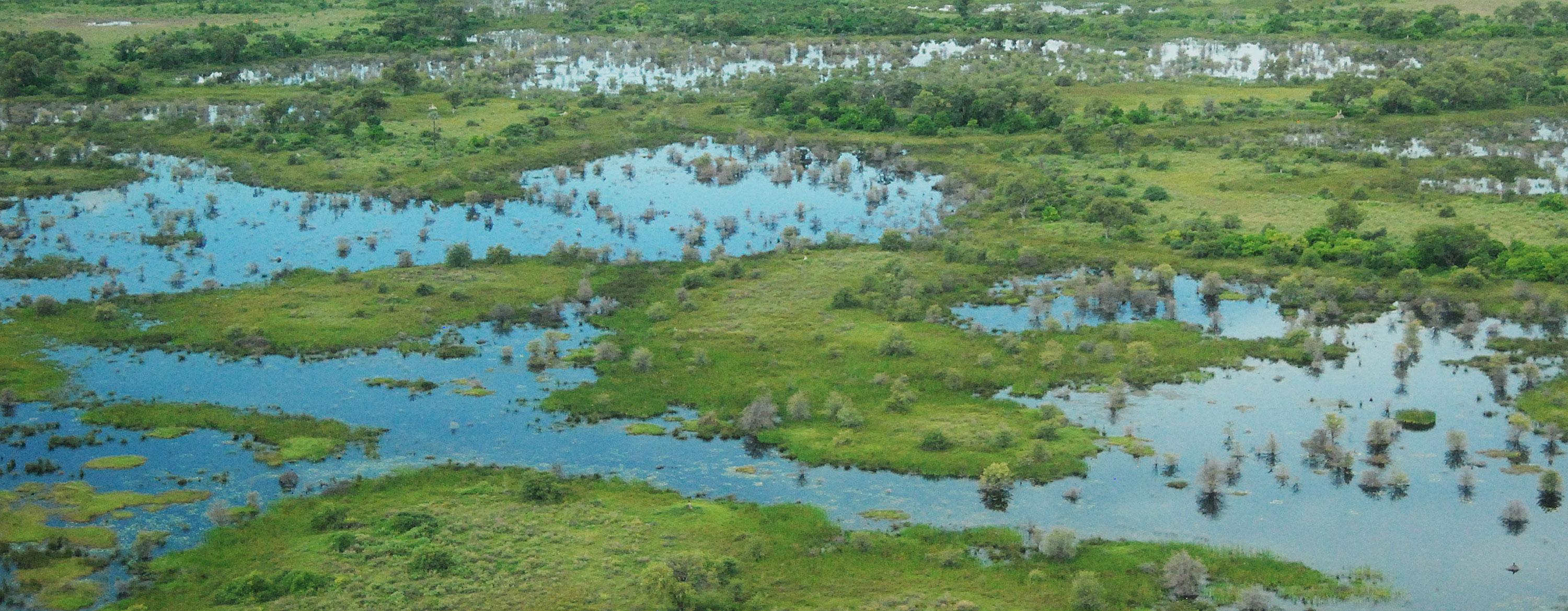 Understanding Wetlands and Their Biodiversity Benefits