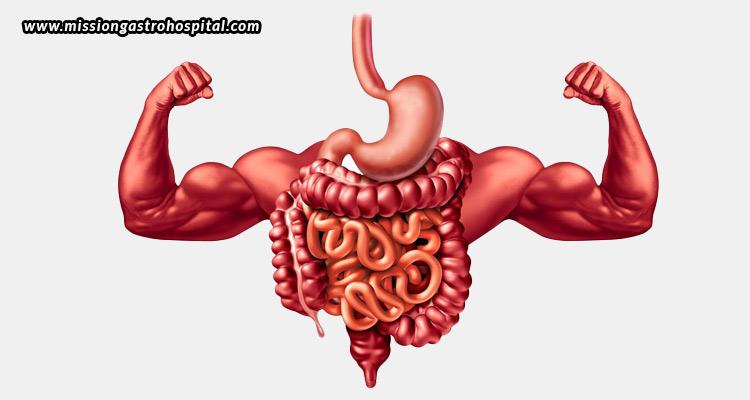 Key Foods That Promote Digestive Health and Their Benefits