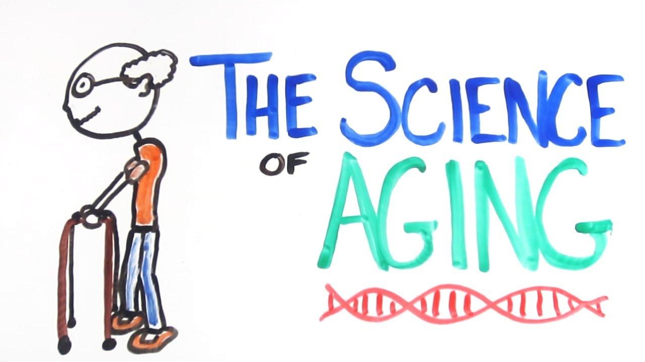 Exploring the Science of Aging: What Research Reveals