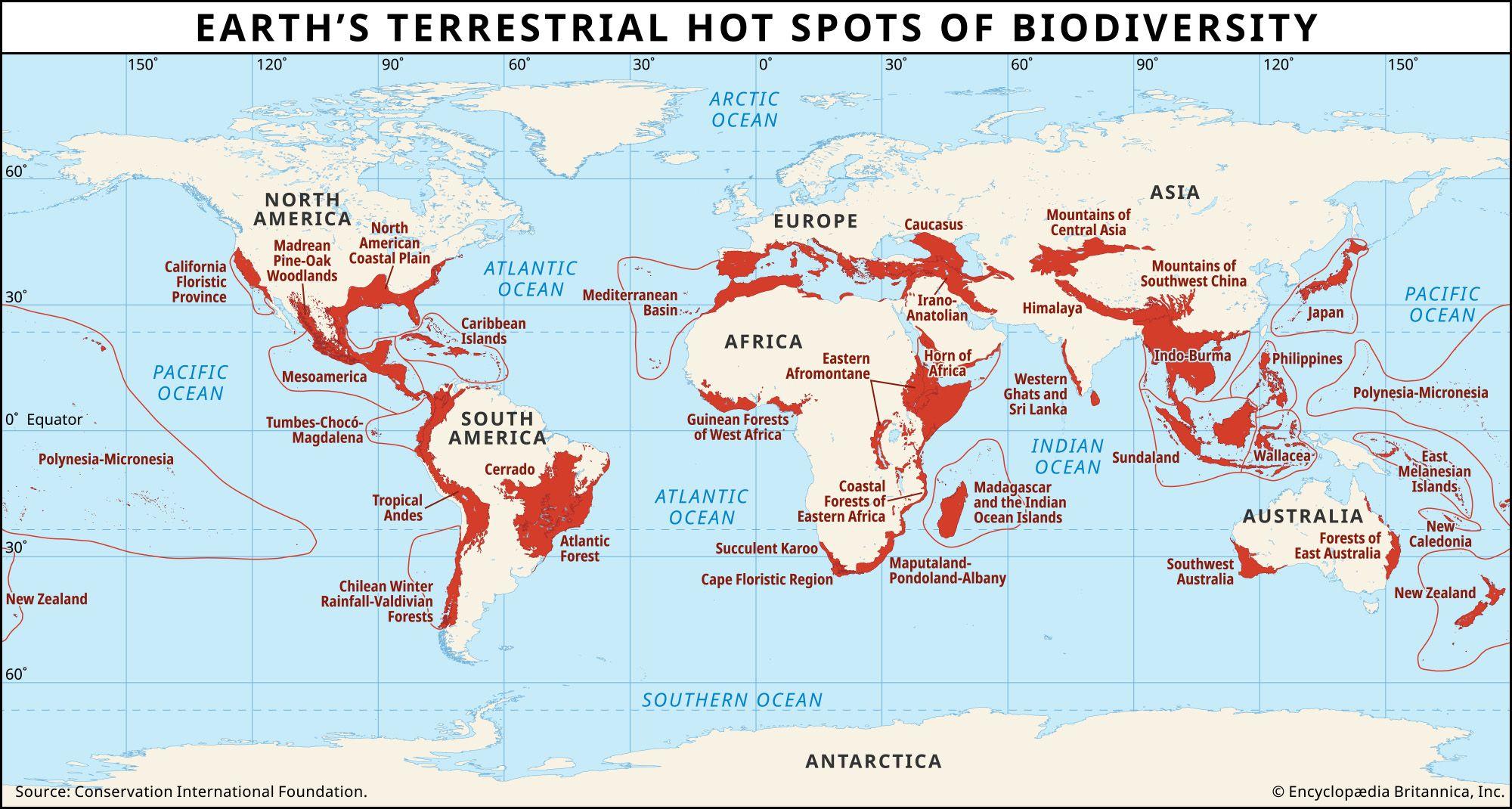 Exploring Biodiversity Hotspots in Grasslands and Savannas