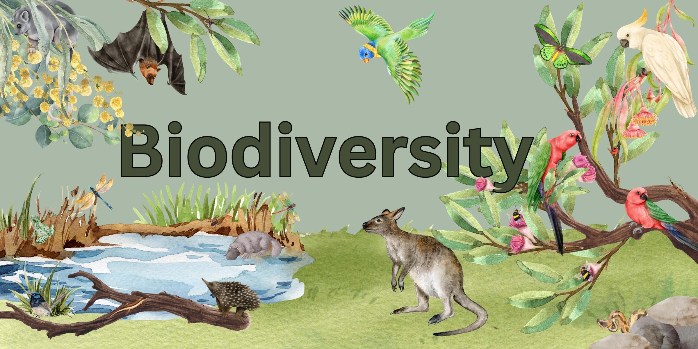 The Role of Biodiversity in Enhancing Ecosystem Resilience