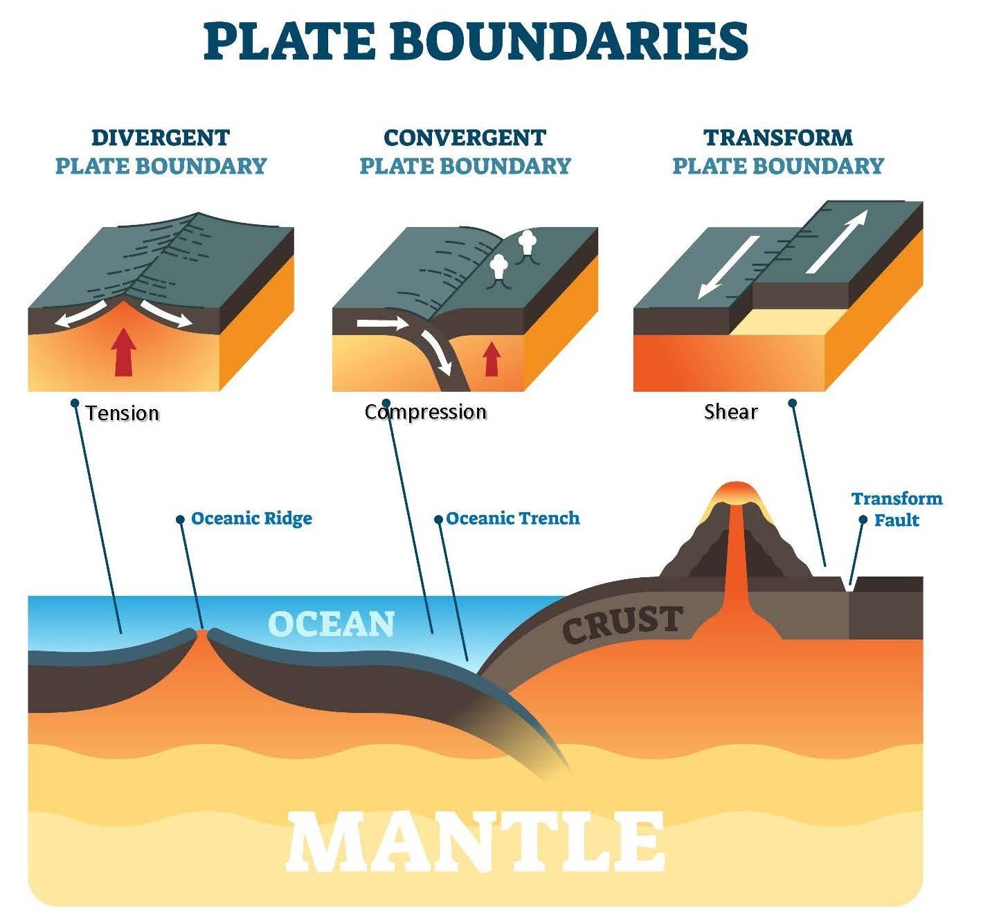 The Role of Geological Forces in Shaping Landforms