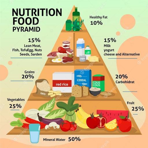 Understanding the Foundations of a Balanced Diet