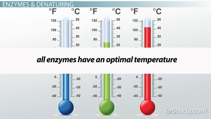 Understanding Optimal Temperature ​and Humidity Conditions for‍ Fruits and​ Vegetables