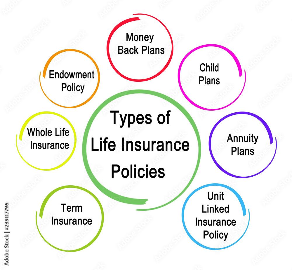 Evaluating Different Types of Insurance Policies