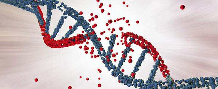 Common Genetic Conditions and Their Impact on Well-being