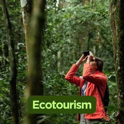 Exploring the Thrills of Ecotourism in Untamed Landscapes