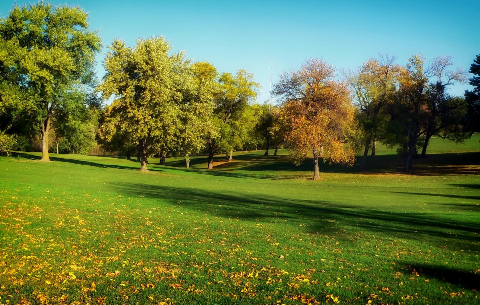 Exploring the Healing Power of Green Spaces