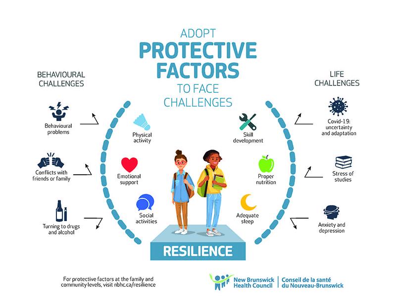 Analyzing the Impact of Personal Risk Factors on Insurance Premiums