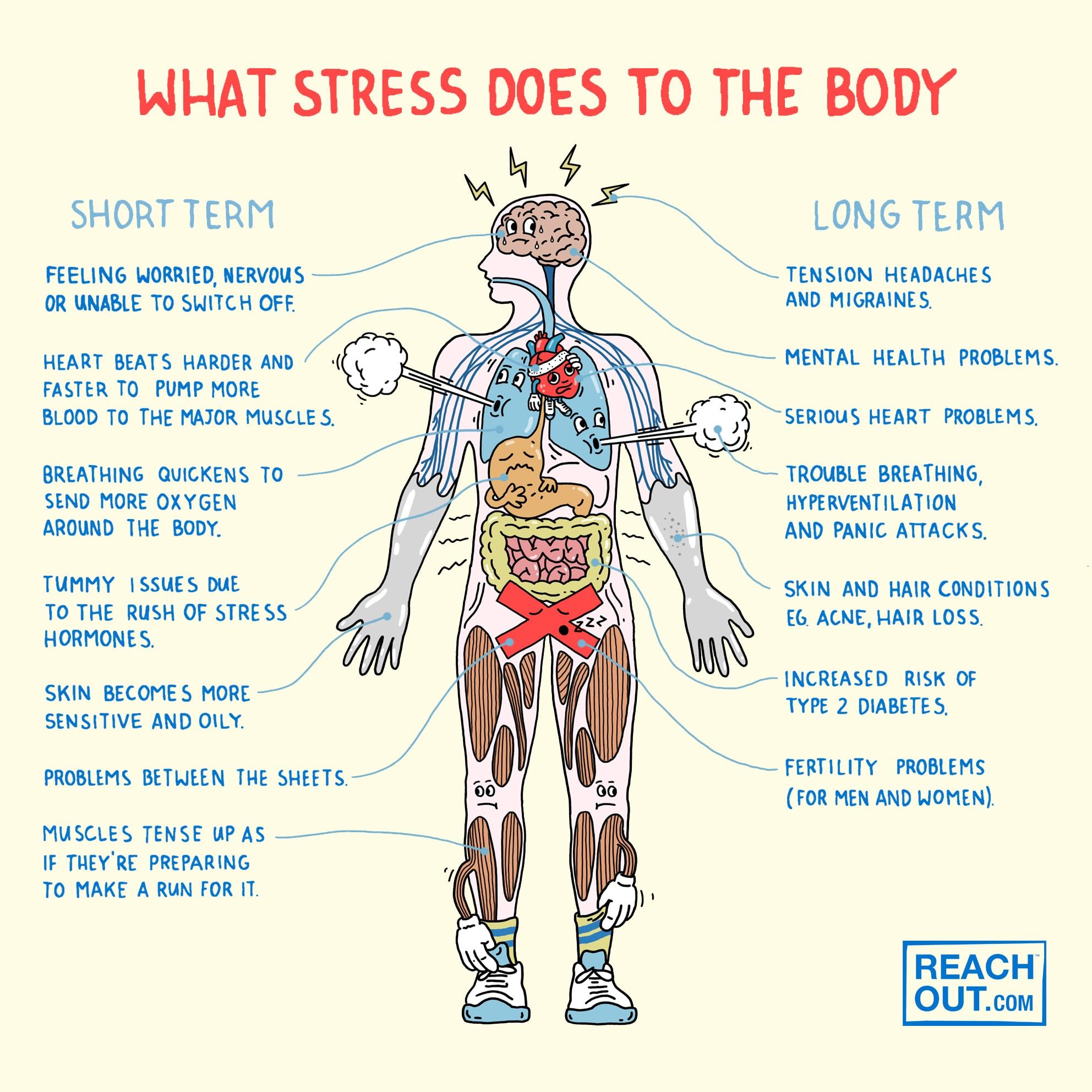 The Role of Stress and⁤ Its Impact on Physical‍ Health