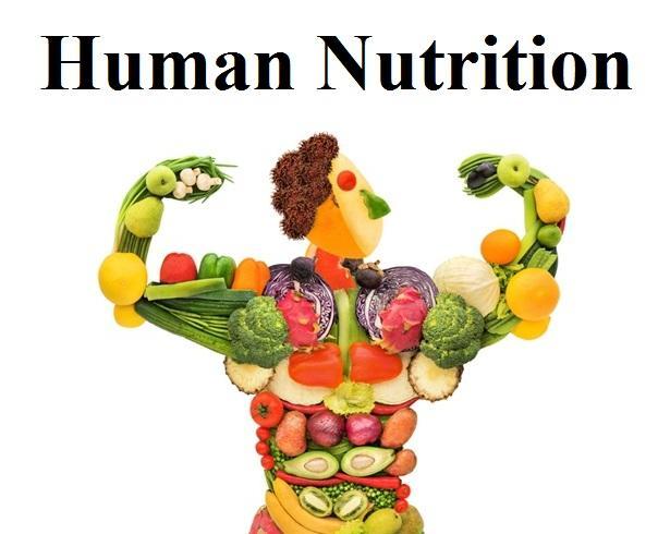 The Role of Nutrition in Promoting Lifespan and Quality of Life