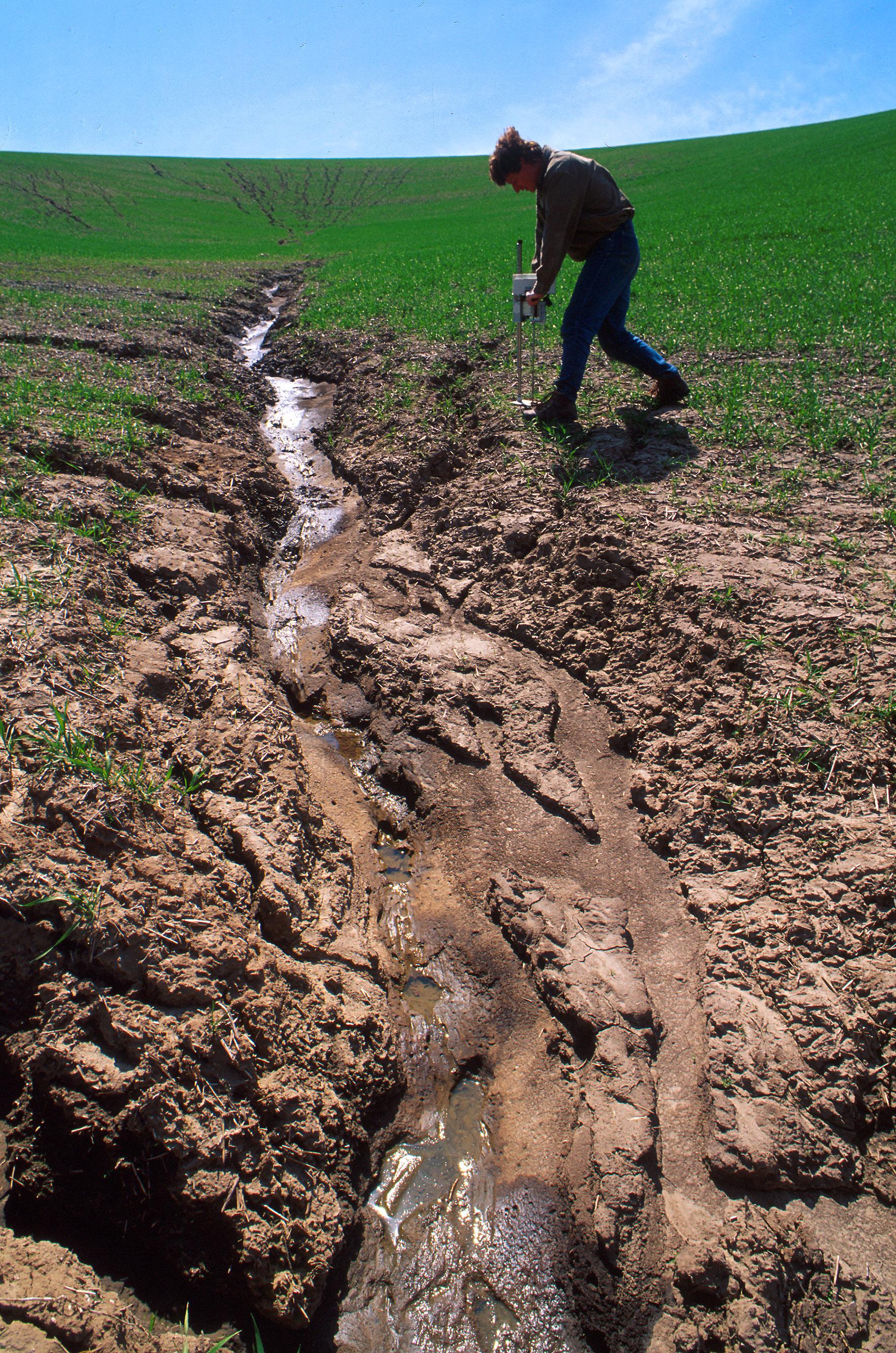 The Role of Erosion and Deposition in Shaping Landscapes